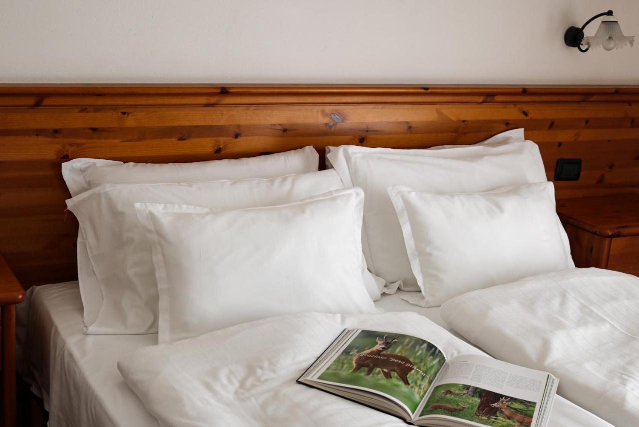 Hotel Garni Civetta Selva di Cadore Εξωτερικό φωτογραφία